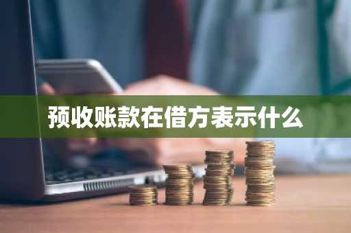 预收账款在借方表示什么