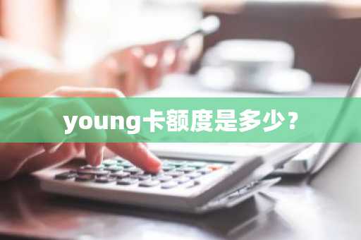 young卡额度是多少？