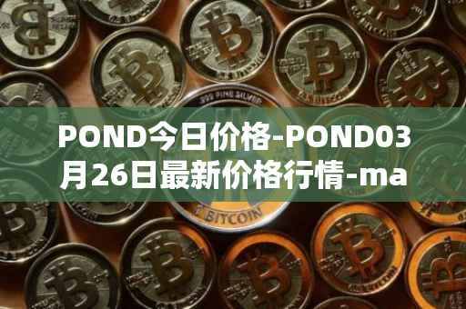 POND今日价格-POND03月26日最新价格行情-marlin最新走势消息