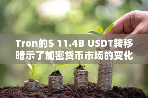 Tron的$ 11.4B USDT转移暗示了加密货币市场的变化吗？