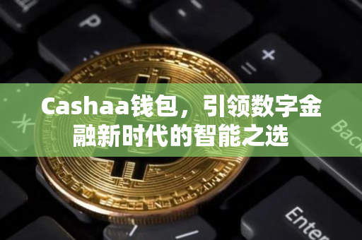 Cashaa钱包，引领数字金融新时代的智能之选