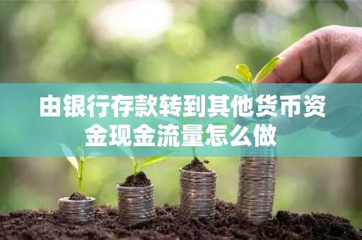 由银行存款转到其他货币资金现金流量怎么做