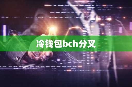 冷钱包bch分叉