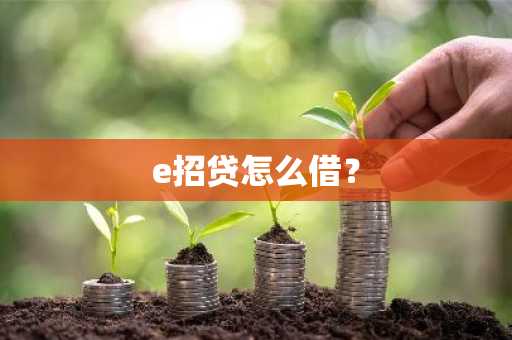 e招贷怎么借？