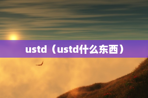 ustd（ustd什么东西）