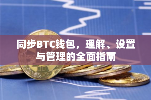 同步BTC钱包，理解、设置与管理的全面指南