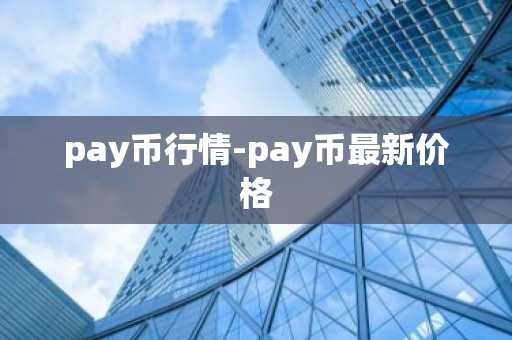 pay币行情-pay币最新价格