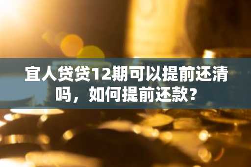 宜人贷贷12期可以提前还清吗，如何提前还款？