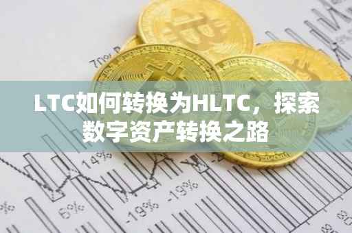 LTC如何转换为HLTC，探索数字资产转换之路