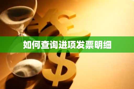 如何查询进项发票明细