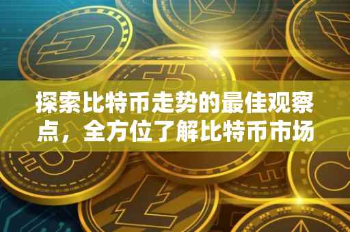 探索比特币走势的最佳观察点，全方位了解比特币市场动态
