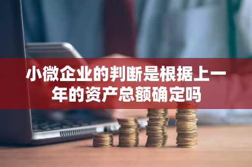 小微企业的判断是根据上一年的资产总额确定吗