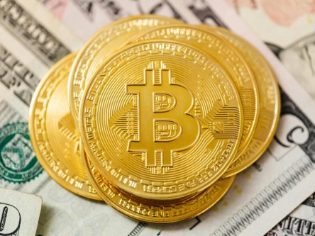 比特币公牛最新视频