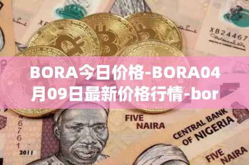 BORA今日价格-BORA04月09日最新价格行情-bora-ecosystem最新走势消息