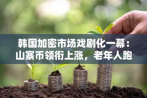 韩国加密市场戏剧化一幕：山寨币领衔上涨，老年人跑步入市，戒严令引发闪崩