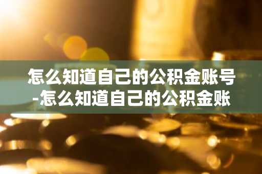 怎么知道自己的公积金账号-怎么知道自己的公积金账号是多少