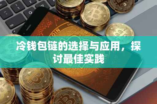 冷钱包链的选择与应用，探讨最佳实践