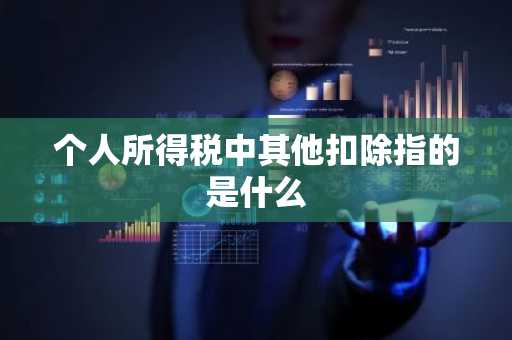 个人所得税中其他扣除指的是什么