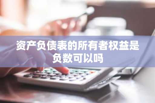 资产负债表的所有者权益是负数可以吗