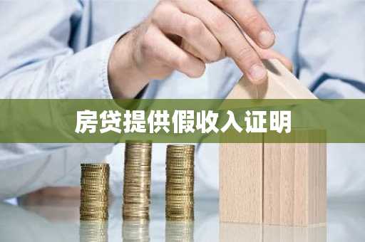 房贷提供假收入证明