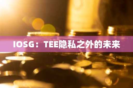 IOSG：TEE隐私之外的未来