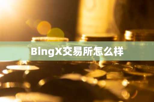 BingX交易所怎么样