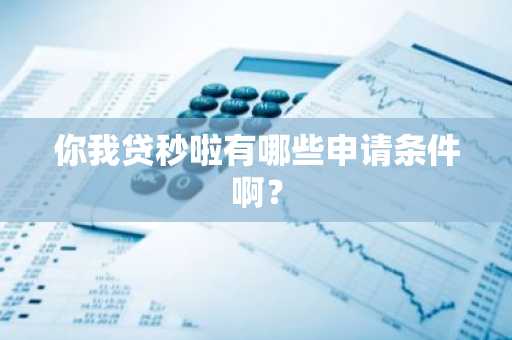 你我贷秒啦有哪些申请条件啊？