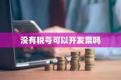没有税号可以开发票吗