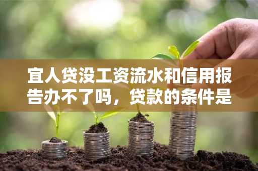 宜人贷没工资流水和信用报告办不了吗，贷款的条件是？