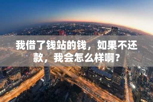 我借了钱站的钱，如果不还款，我会怎么样啊？