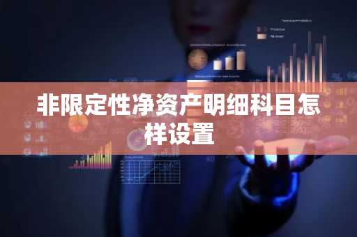 非限定性净资产明细科目怎样设置