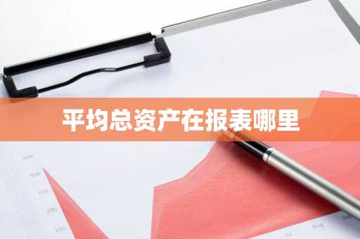 平均总资产在报表哪里