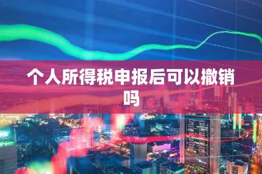 个人所得税申报后可以撤销吗