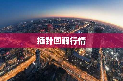 插针回调行情