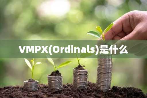 VMPX(Ordinals)是什么