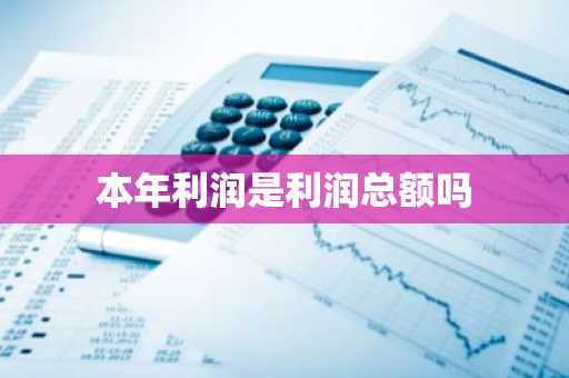 本年利润是利润总额吗