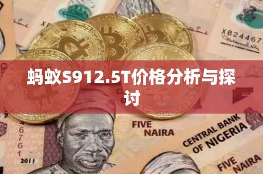 蚂蚁S912.5T价格分析与探讨