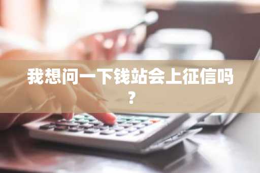 我想问一下钱站会上征信吗？