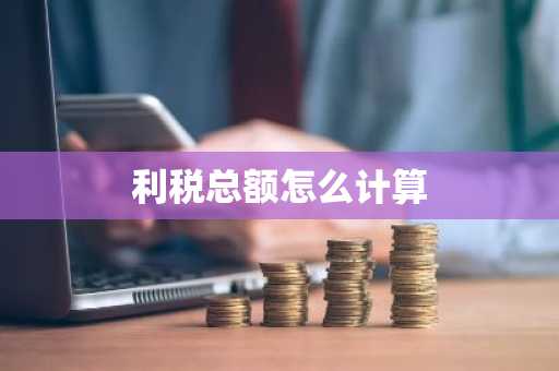 利税总额怎么计算