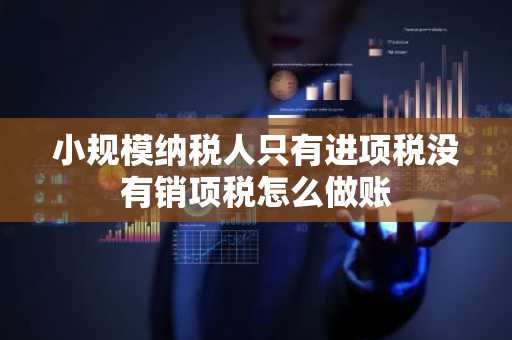 小规模纳税人只有进项税没有销项税怎么做账