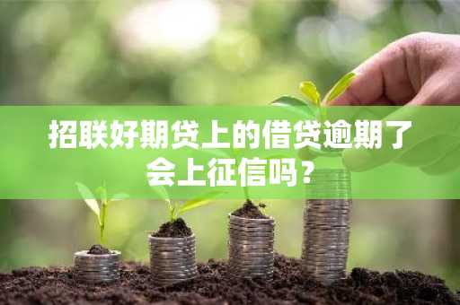 招联好期贷上的借贷逾期了会上征信吗？