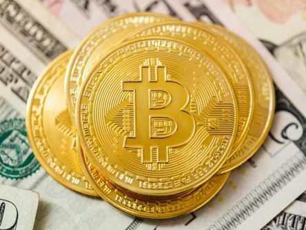 FDD币最新价格