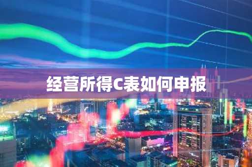 经营所得C表如何申报