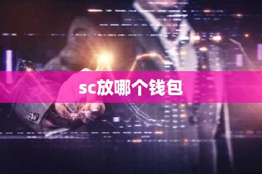 sc放哪个钱包