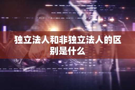 独立法人和非独立法人的区别是什么