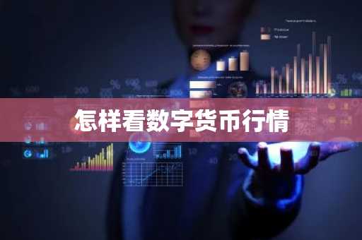 怎样看数字货币行情