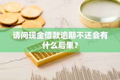 请问现金借款逾期不还会有什么后果？