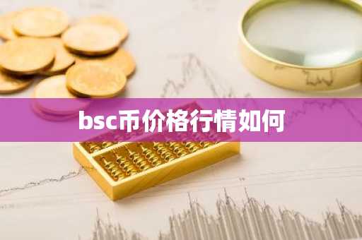 bsc币价格行情如何