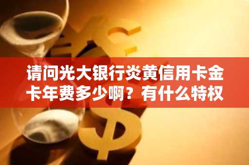 请问光大银行炎黄信用卡金卡年费多少啊？有什么特权吗？