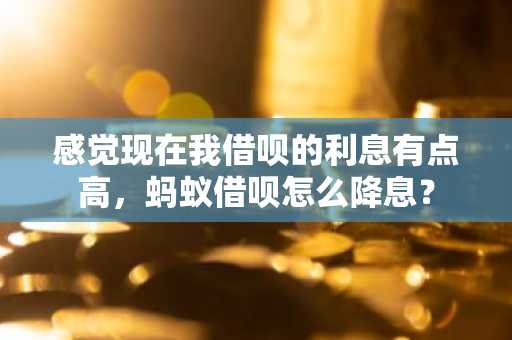 感觉现在我借呗的利息有点高，蚂蚁借呗怎么降息？